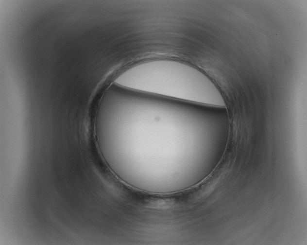 X0000112070304200908040956