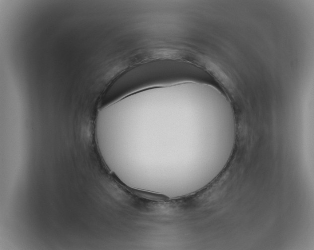X0000112070305200908040956