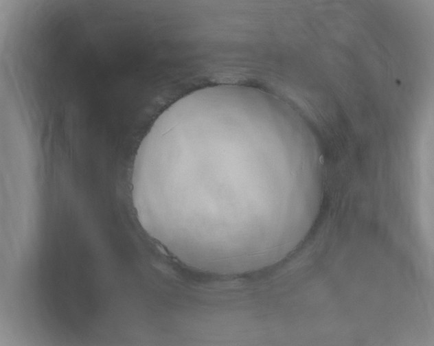 X0000112070307200908040956