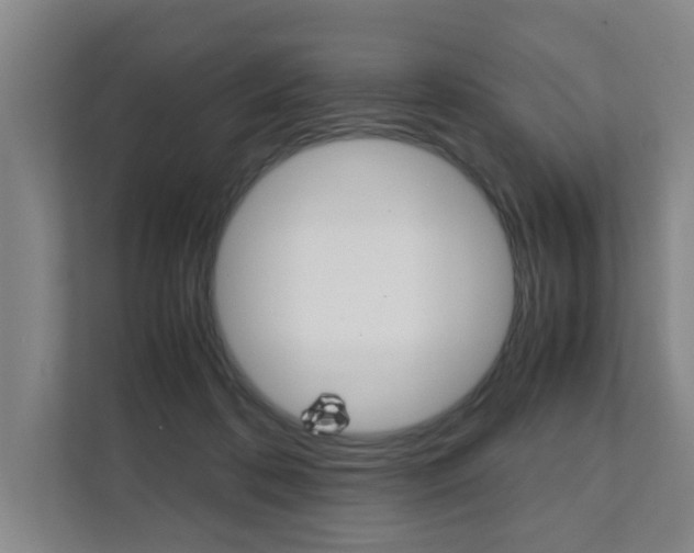 X0000112070316200908040956