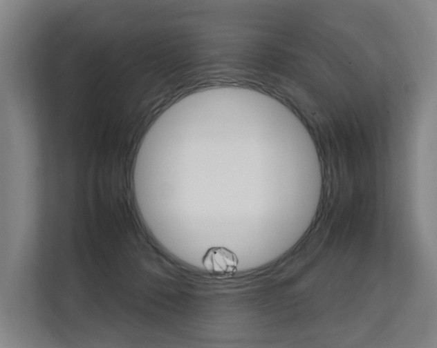 X0000112070320200908040956