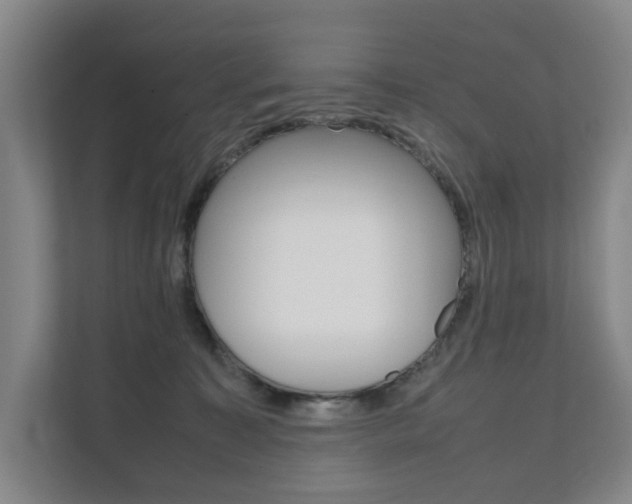 X0000112070323200908040956