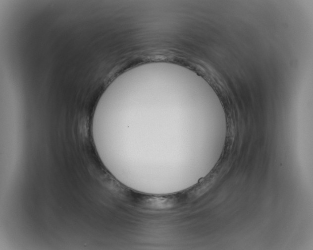 X0000112070326200908040956