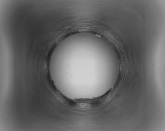 X0000112070327200908040955
