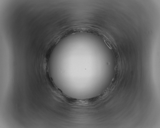 X0000112070328200908040955