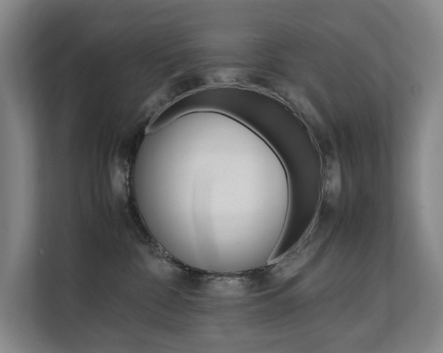 X0000112070332200908040955
