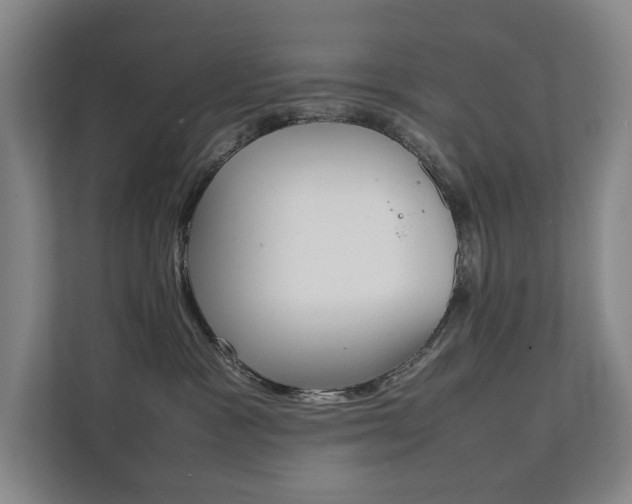 X0000112070333200908040955