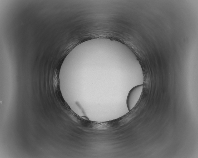 X0000112070334200908040955