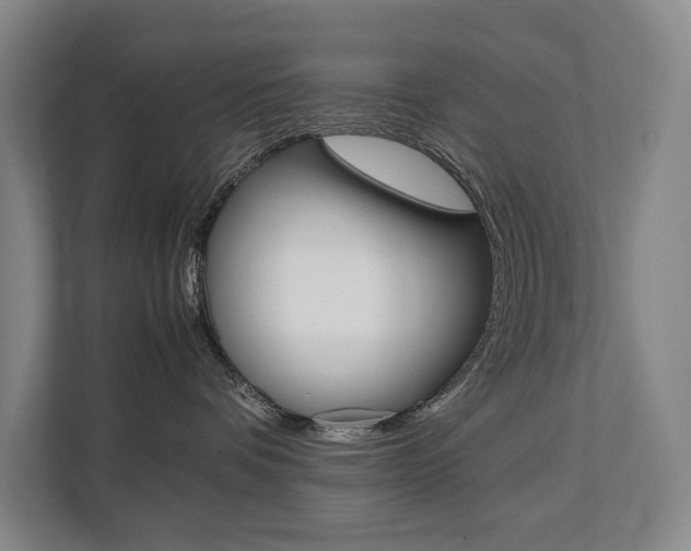 X0000112070336200908040955