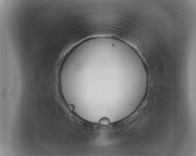 X0000112070337200908040955