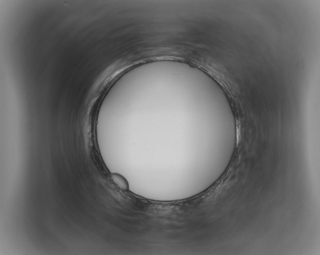 X0000112070339200908040955