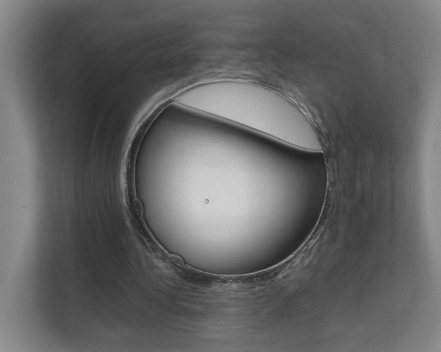 X0000112070340200908040955
