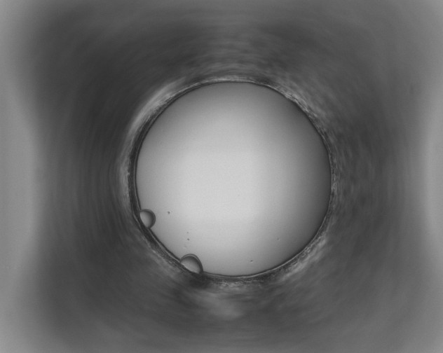 X0000112070341200908040955