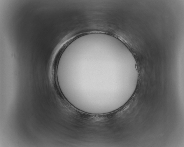 X0000112070343200908040955