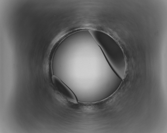 X0000112070344200908040955