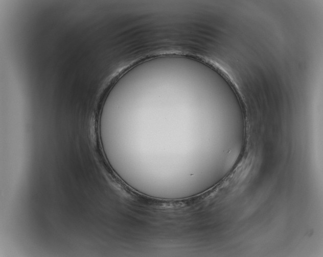 X0000112070345200908040955