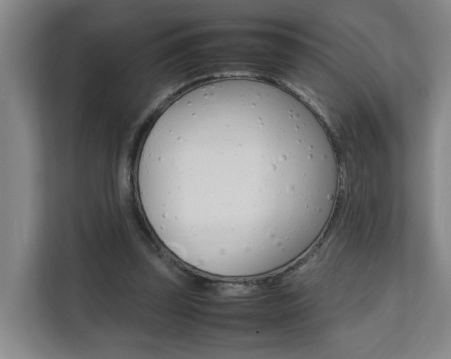 X0000112070347200908040955
