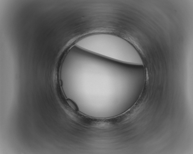 X0000112070348200908040955