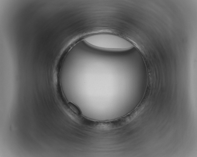 X0000112070350200908040955