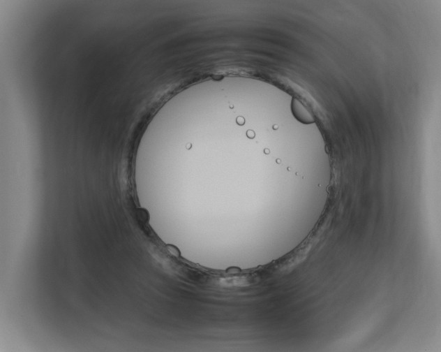 X0000112070353200908040955