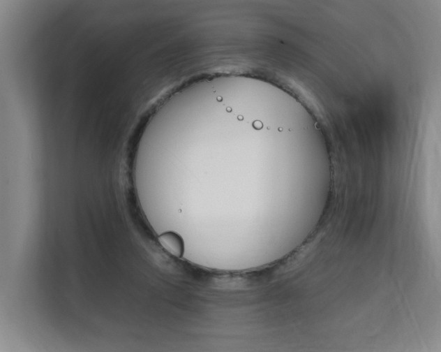 X0000112070354200908040955