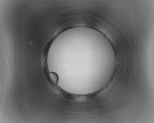 X0000112070355200908040955