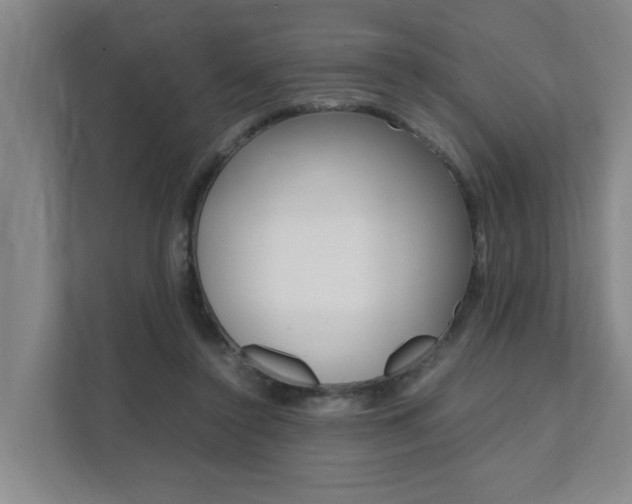 X0000112070356200908040955
