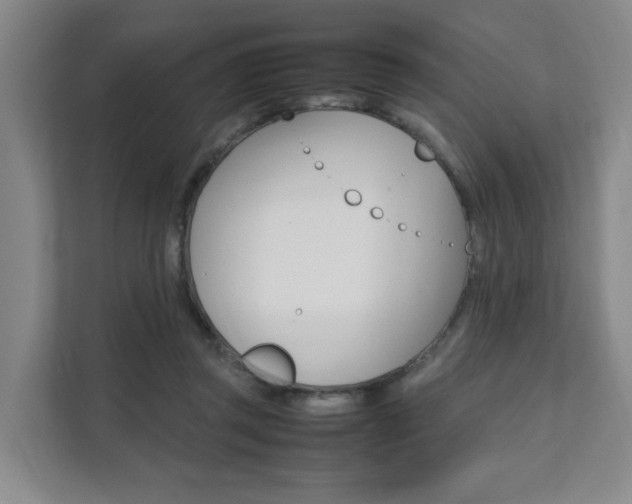 X0000112070357200908040955