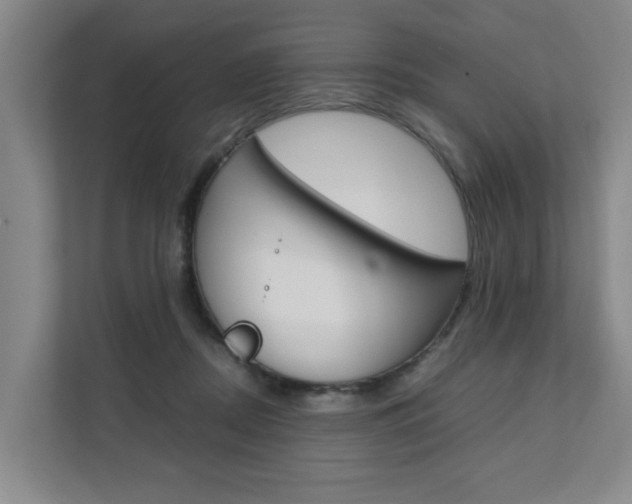 X0000112070362200908040955