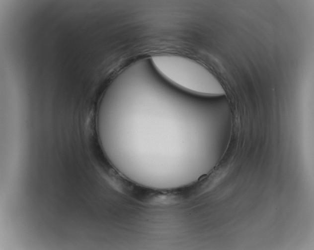 X0000112070364200908040955