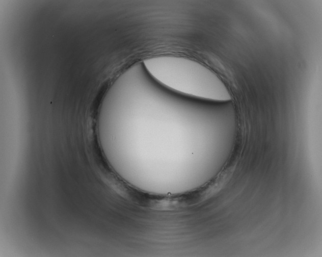 X0000112070366200908040955