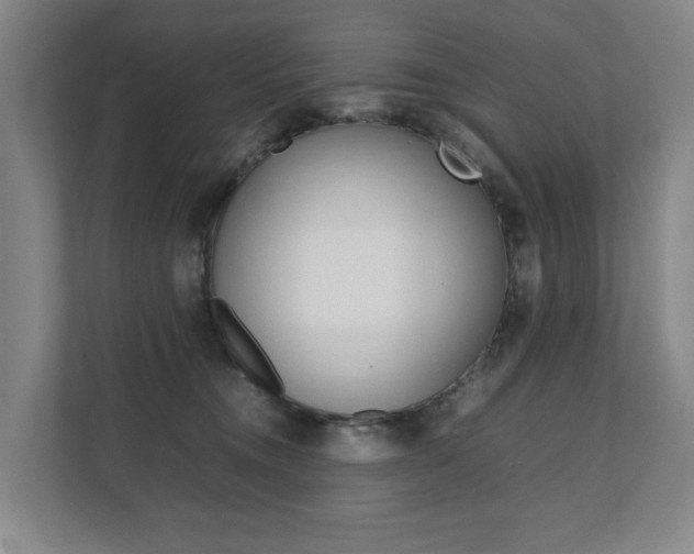 X0000112070372200908040955