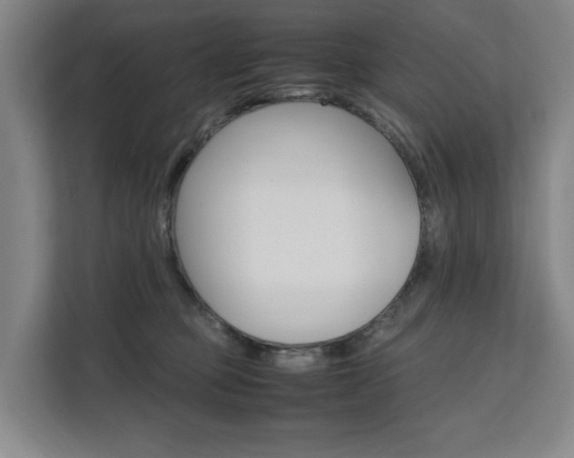 X0000112070373200908040955