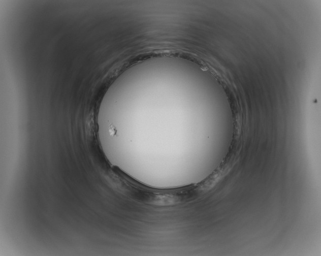 X0000112070376200908040955