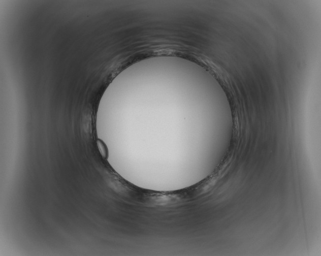 X0000112070379200908040955