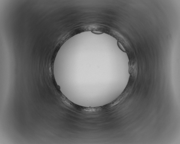 X0000112070381200908040955