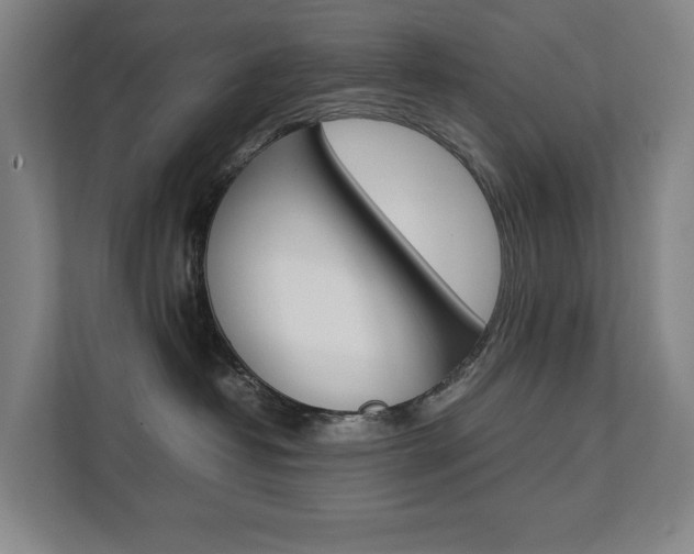 X0000112070382200908040955