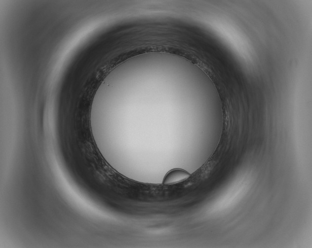 X0000112070383200908040955