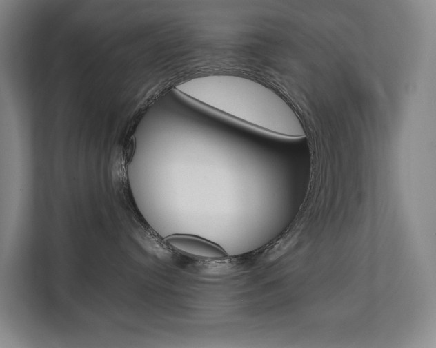 X0000112070384200908040955
