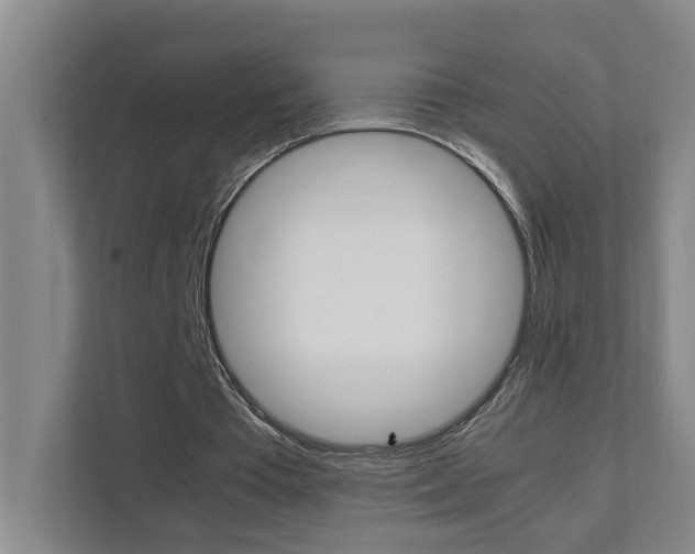 X0000112070385200908040955