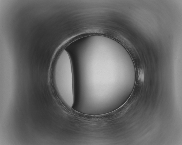 X0000112070388200908040955