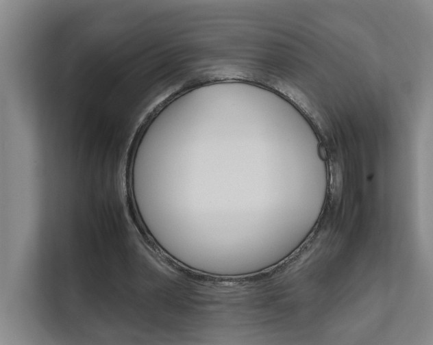 X0000112070390200908040955