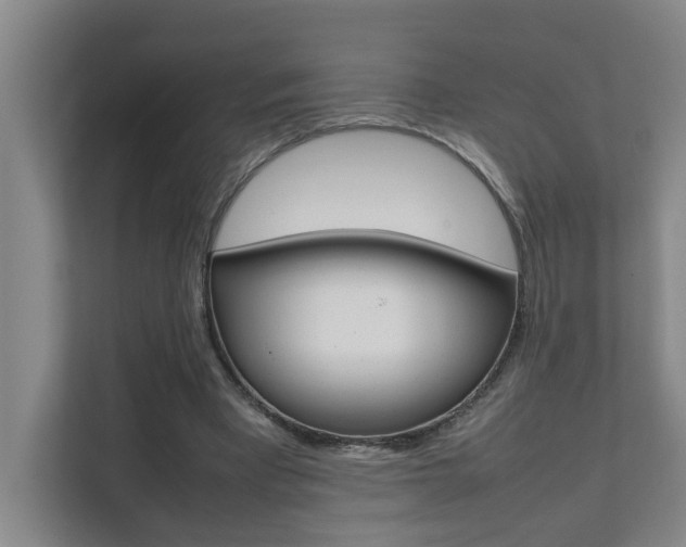 X0000112070393200908040955