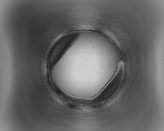 X0000112070395200908040955