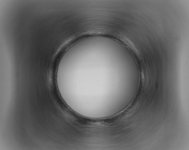 X0000112070396200908040955