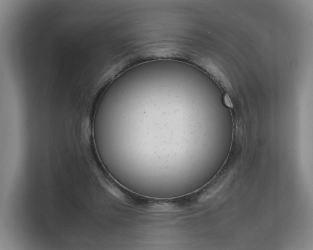 X0000112070397200908040955