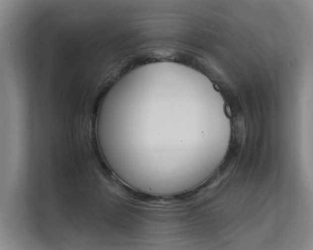 X0000112070412200908040954