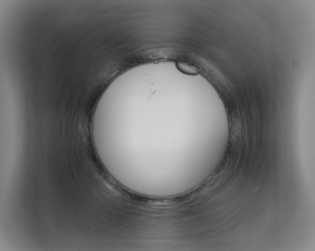 X0000112070414200908040954