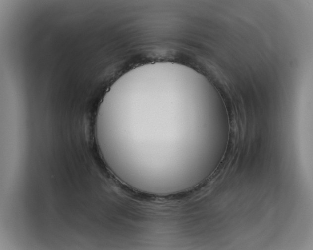 X0000112070416200908040954