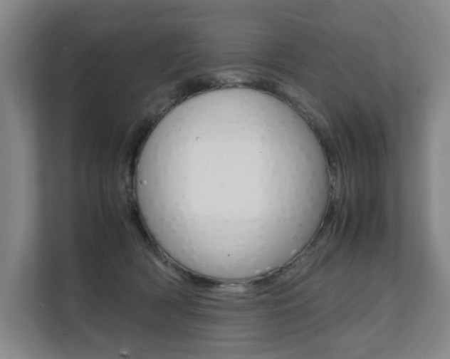 X0000112070418200908040954